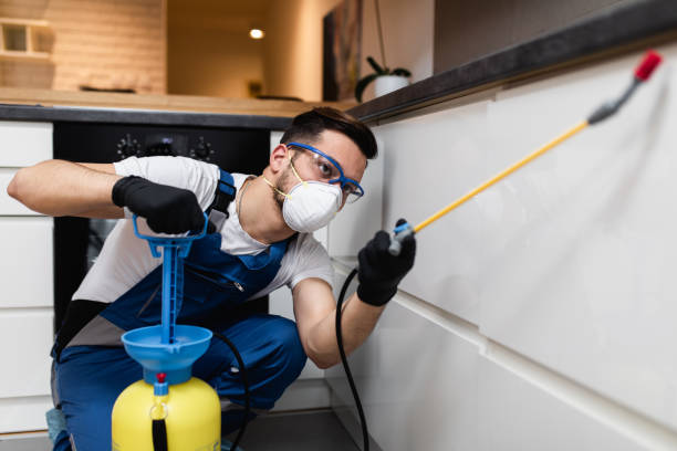 Best Termite Control Services  in Killian, LA