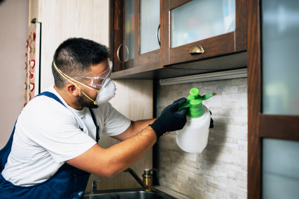 Pest Control for Restaurants in Killian, LA