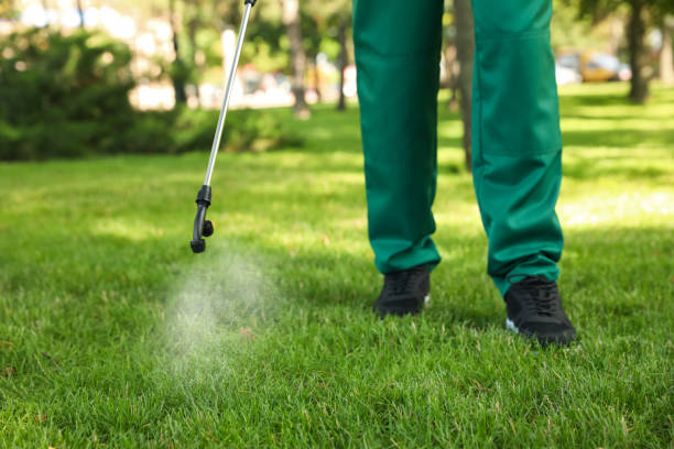 Best Pest Control for Restaurants  in Killian, LA