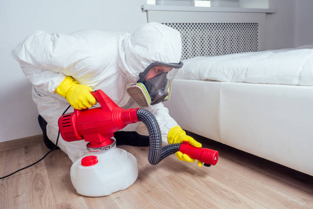 Best Pest Removal Services  in Killian, LA