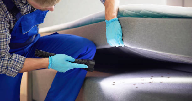 Best Exterminator Services  in Killian, LA