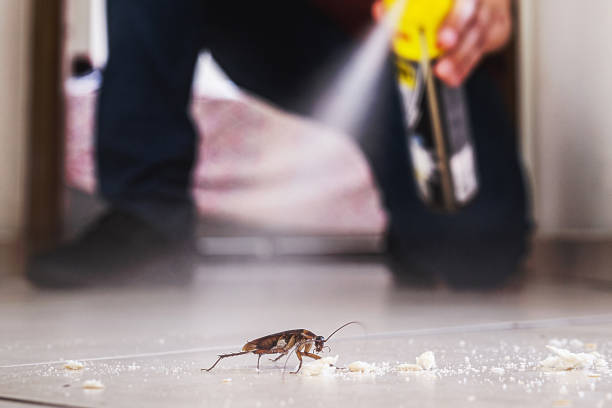 Best Exterminator Services  in Killian, LA