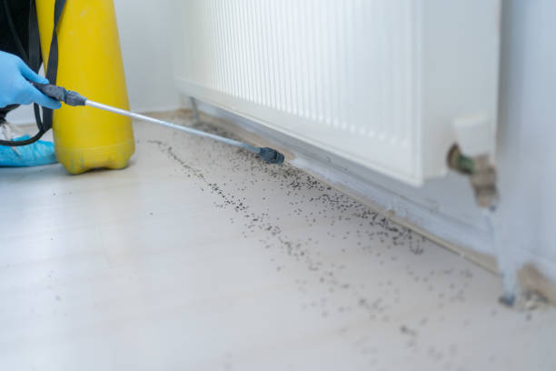 Best Pest Control for Businesses  in Killian, LA