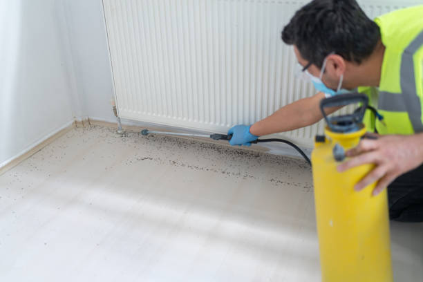 Best Termite Control Services  in Killian, LA
