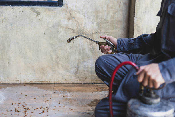 Pest Control Cost in Killian, LA